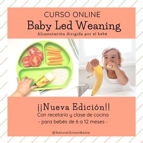 Baby Led Weaning Alimentaci N Dirigida Por El Beb
