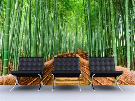 Bamboo Forest Wall Mural 6043