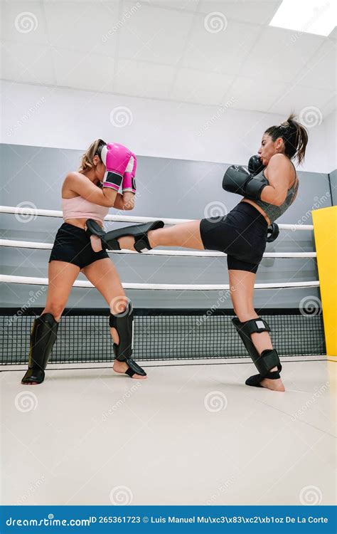 Female Kickboxer With Leg Protectors Giving A Front Kick To Her Partner