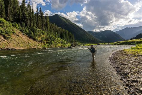Madison River Fly Fishing Fly Fishing Photography Clint Losee