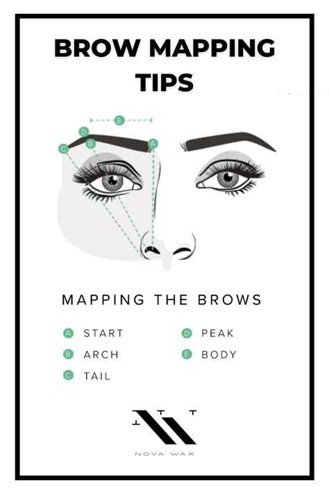 How To Trim Eyebrows Like A Pro Eyebrow Tutorial Eyebrow Makeup Tips