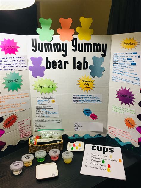 Gummy Bear Experiment On Osmosis Artofit