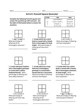Use a punnett square to determine the percent probability of one of their offspring having short hair. Punnett Square Generator Wo... by Haney Science | Teachers ...