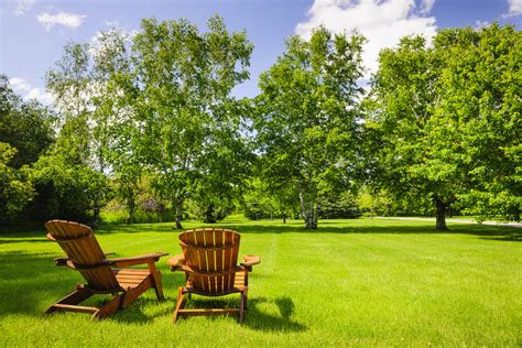 Perfect The Look Of Your Summer Lawn