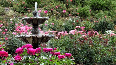 Conheça seis jardins exuberantes no Oregon
