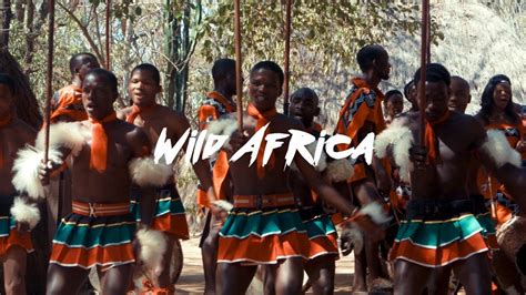 Wild Africa Youtube