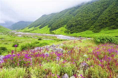 Valley Of Flowers National Park Uttarakhand Valley Of