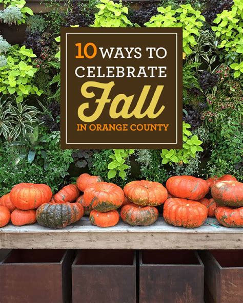 10 Ways To Celebrate Fall In Orange County Popsicle Blog