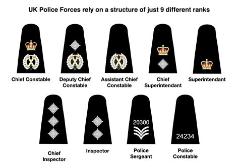 Police Officer Rank Structure Images And Photos Finder