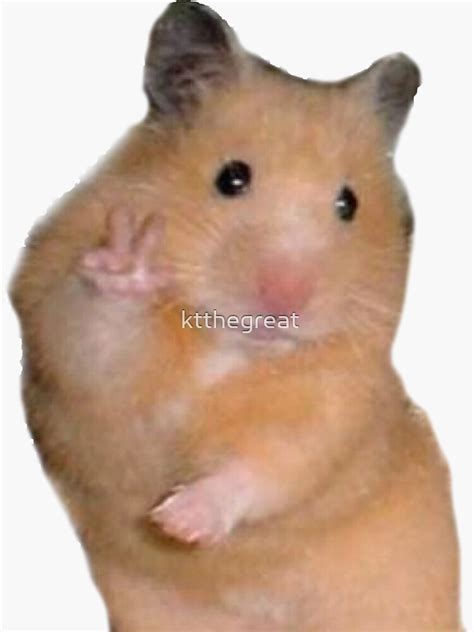 Hampster Pfp 🖤 Hamster Y Banana Meme Ibrarisand