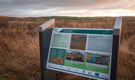 Cors Fochno New Life For Welsh Raised Bogs Iucn Uk Peatland Programme