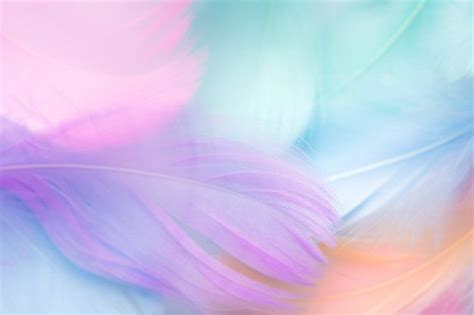 Pastel Colour Feather Abstract Background Pastel Color Background