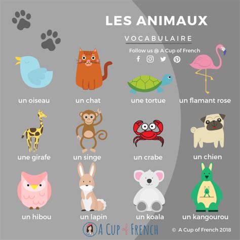 Animals In French 1 Enseignement Du Français Animaux En Francais