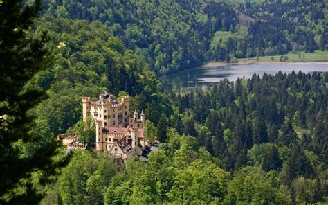 Download Wallpapers Mountain Forest Hohenschwangau Castle Germany