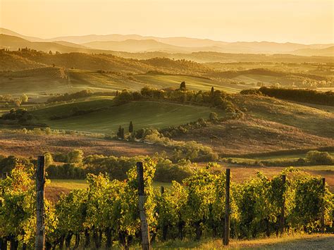 What Is A Super Tuscan Kazzit Us Wineries And International Winery Guide
