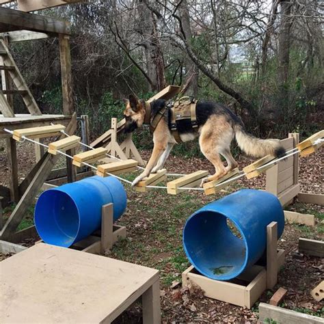 Incredible Diy Dog Playground Design In Backyard