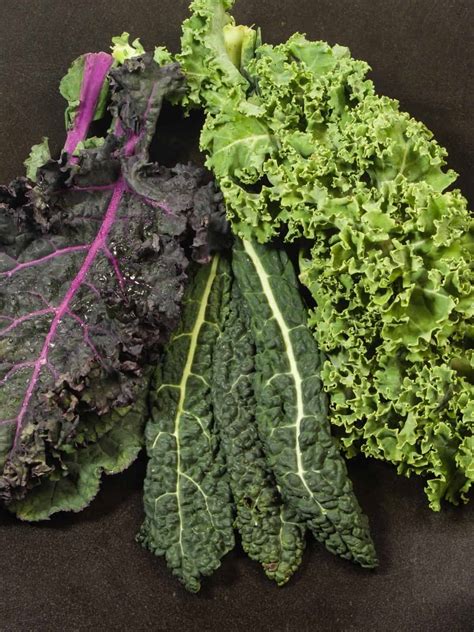 Varieties Of Kale The King Of The Super Greens Salads With Anastasia