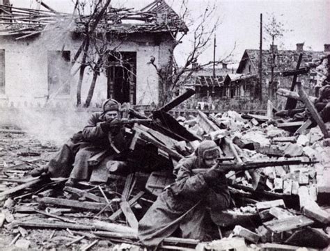 Casualties The Battle Of Stalingrad