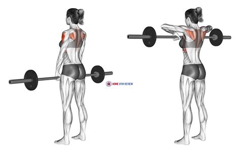 Barbell Upright Row Female Home Gym Review