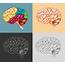 Human Brain In Four Designs 455465 Vector Art At Vecteezy
