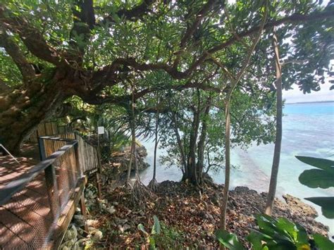 Hidden Cove Eco Retreat Natanara Espiritu Santo Vanuatu First