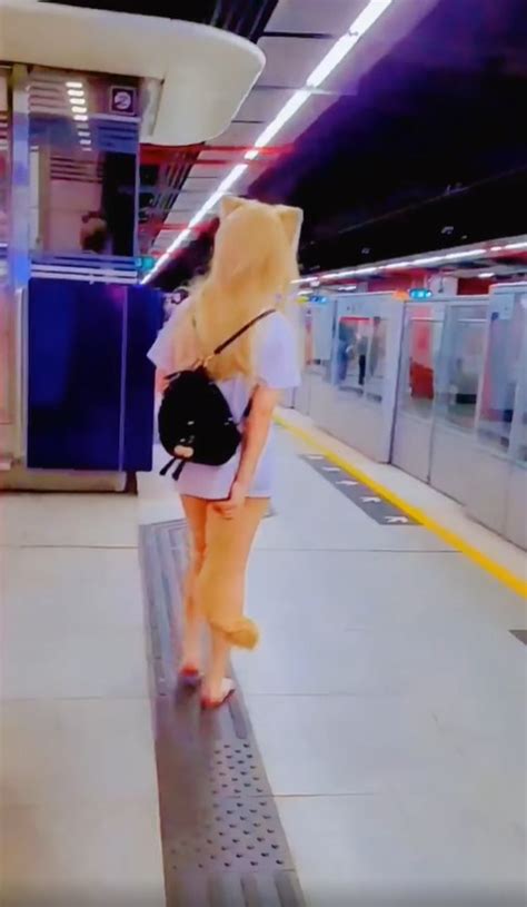 Woman Wearing Fox Tail Anal Plug Sex Toy Spotted In Mtr Station Dimsum Daily