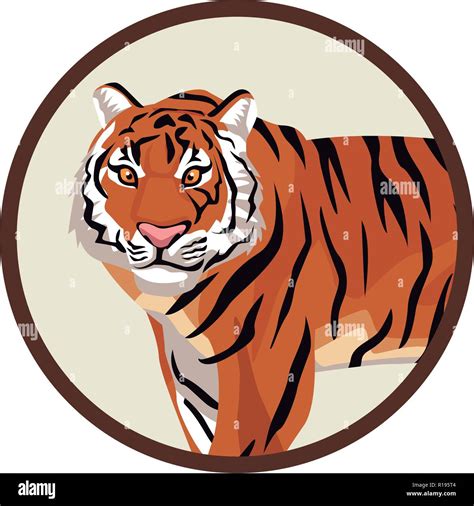 Bengal Tiger Head Cartoon