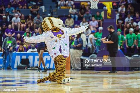 Mike The Tiger Photos And Premium High Res Pictures Getty Images