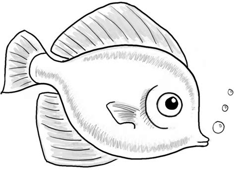 How To Draw A Cute Fish Cartoon With Simple Steps For Kids How To
