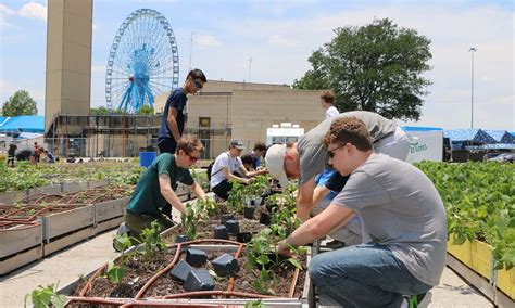 'Fresh, free and beautiful': the rise of urban gardening | Urban