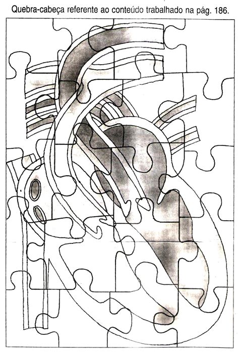Sistema Circulatório Desenho Para Colorir
