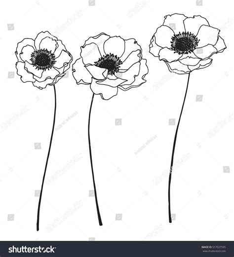 23513 Anemone Drawing Images Stock Photos And Vectors Shutterstock