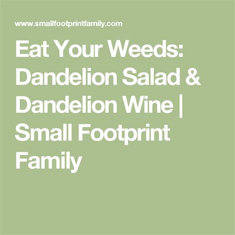 Dandelion Wine Recipe Dandelion Wine Dandelion Recipes Dandelion