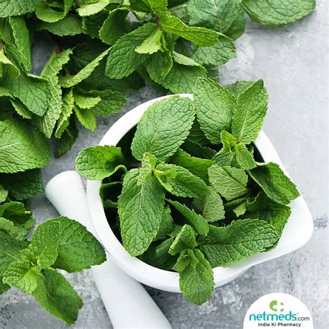 Mint Leaves Have Soothing Benefits For Irritated Skin