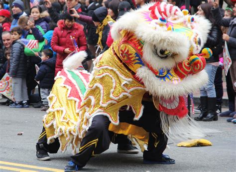 Chinese New Year Parade Celebration For All Medill News Service