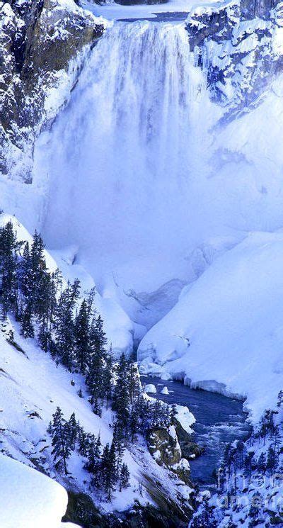 Frozen In Time Yellowstone National Park Wyoming Us Yellowstone