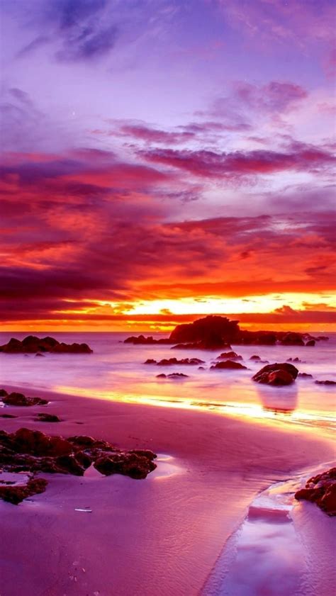 Free Download Wallpaper Sky Sunset Water Purple Ocean Nature Picsfabcom
