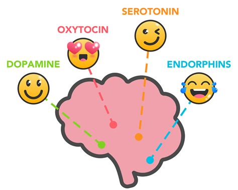 Serotonin And Dopamine Happiness