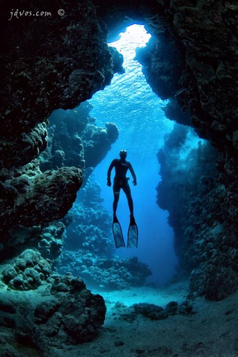 40 Excellent Examples Of Underwater Photography Underwater