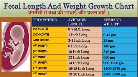 The most advanced online growth charts integrated with ehr. Fetal Length And Weight Growth Chart | प्रेगनेंसी में ...