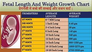 Fetal Length And Weight Growth Chart प र गन स म बच च क लम ब ई
