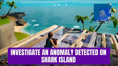 Investigate An Anomaly Detected On Shark Island Epic Quest Guide