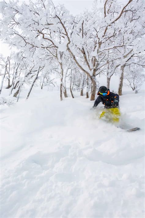 Niseko Ski Resort 25 Things To Know Before You Visit 2024