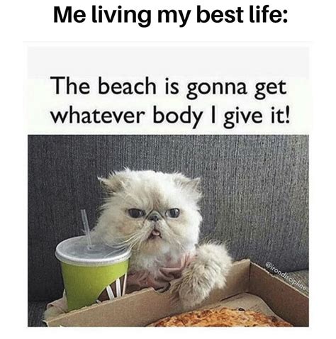 These Super Funny Beach Memes Will Make You Ready For Summer No Fun