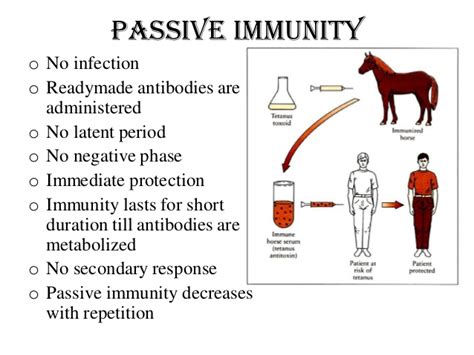 Immunity can be described as either active or passive, depending on how it is acquired: Acquired immunity