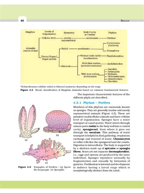For Class 11 Biology Chapter 4 Kingdom Monera Protista And Fungi Riset