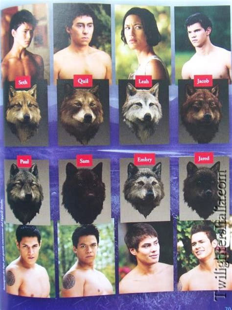 twilight the uley pack the wolf pack twilight guide twilight pinterest twilight