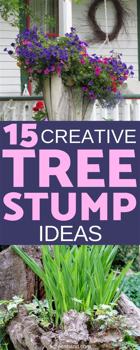 15 Creative Tree Stump Ideas To Style Up Your Garden
