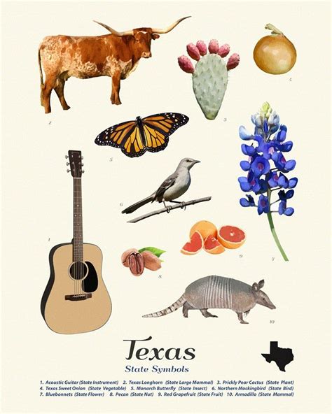Texas State Symbols Typology Poster Texas Wall Art Texas Etsy Texas