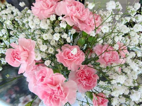 Carnations Flower Bouquet Wedding Anniversary Flowers Pink